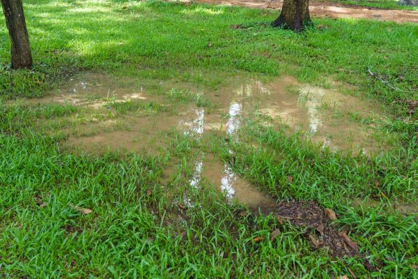 Cost of Storm Water Drainage Service in Bethlehem