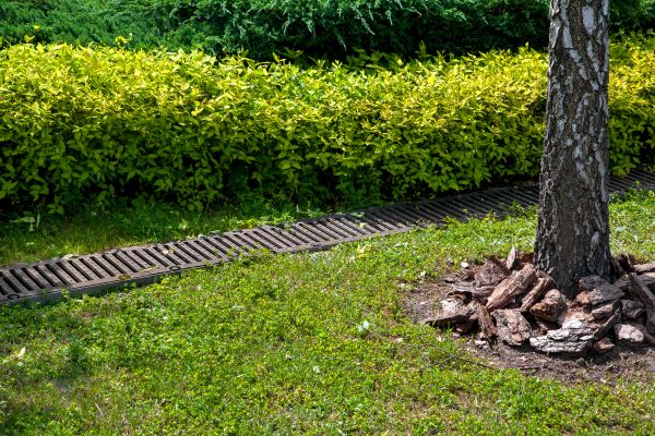 Cost of Residential Landscape Drainage in Bethlehem