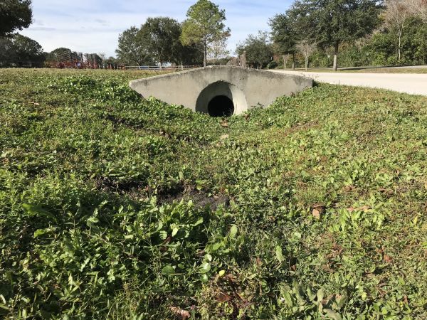 Cost of Swale Drainage Service in Bethlehem