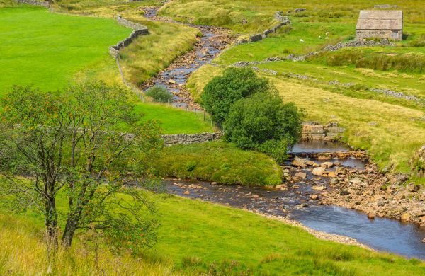 Cost of Swale Repair in Bethlehem